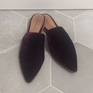 Madewell Velvet slip-ons, mules, pointy toe, sz8.5